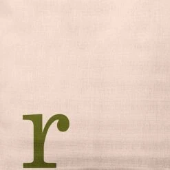 16"x16" Modern Monogram 'r' Square Throw Pillow - E By Design