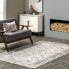 NuLOOM Bex Faded Stain-Resistant Machine Washable Area Rug