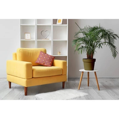 E By Design 16"x16" Oranges And Lemons Pattern Square Throw Pillow: Indoor Decorative Cushion, Twill Polyester, Sewn Seam Closure 3 E By Design 16"x16" Oranges And Lemons Pattern Square Throw Pillow: Indoor Decorative Cushion, Twill Polyester, Sewn Seam Closure