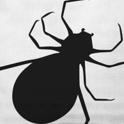 16"x16" Big Spider Print Square Throw Pillow White - E By Design